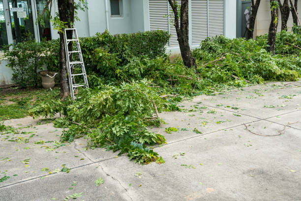 Best Aeration Services  in Villa Rica, GA