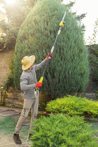 Best Weed Control  in Villa Rica, GA